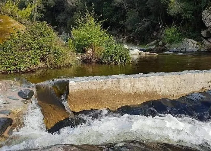 Location Cap Corse Canari